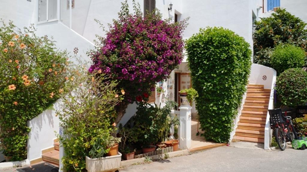 Patio Andaluz Daire Denia Dış mekan fotoğraf